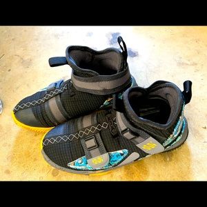 Nike LeBron zip close basketball shoes